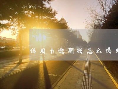 信用卡逾期钱怎么提出来 信用卡逾期钱怎么提出来