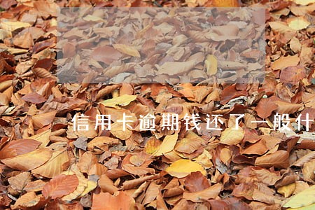 信用卡逾期钱还了一般什么时候就能用啊 信用卡逾期钱还了一般什么时候就能用啊