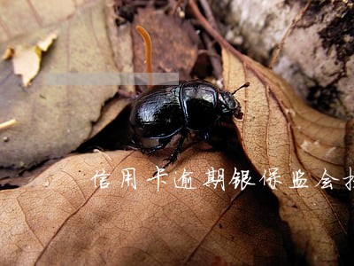 信用卡逾期银保监会投诉 信用卡逾期银保监会投诉