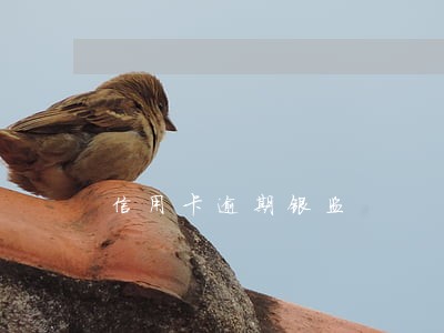 信用卡逾期银监 信用卡逾期银监