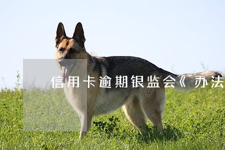信用卡逾期银监会《办法》 信用卡逾期银监会《办法》