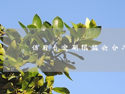 信用卡逾期银监会介入