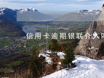信用卡逾期银联介入吗 信用卡逾期银联介入吗