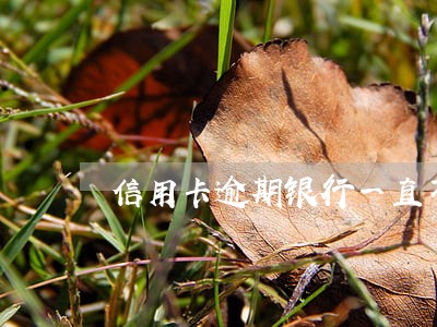 信用卡逾期银行一直不通知 信用卡逾期银行一直不通知