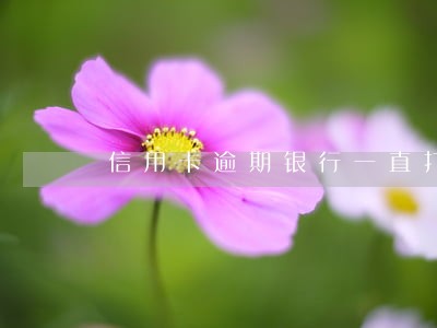 信用卡逾期银行一直打电话 信用卡逾期银行一直打电话