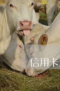 信用卡逾期银行一直未通知 信用卡逾期银行一直未通知