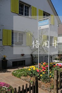 信用卡逾期银行一般怎么办 信用卡逾期银行一般怎么办