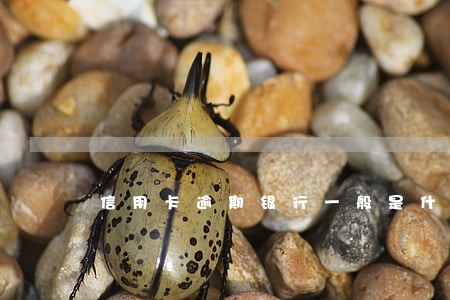 信用卡逾期银行一般是什么流程