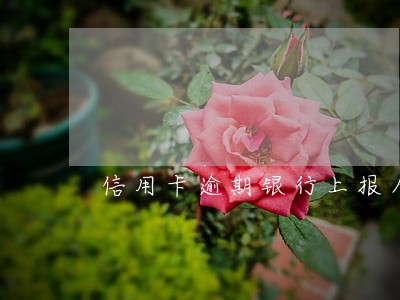 信用卡逾期银行上报人行 信用卡逾期银行上报人行