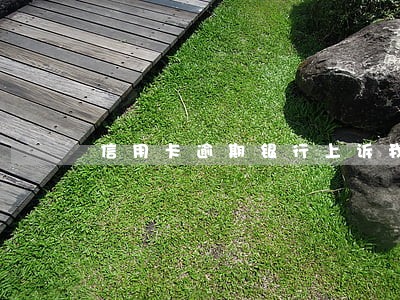 信用卡逾期银行上诉我 信用卡逾期银行上诉我