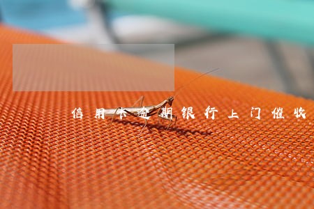 信用卡逾期银行上门催收概率