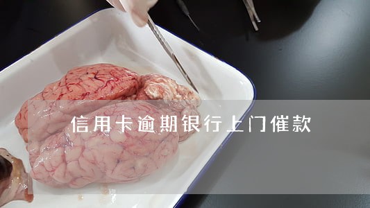 信用卡逾期银行上门催款 信用卡逾期银行上门催款