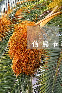 信用卡逾期银行上门催讨