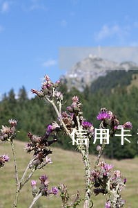 信用卡逾期银行上门前会告知吗