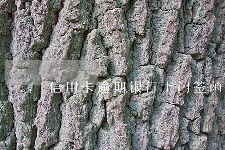信用卡逾期银行上门签函