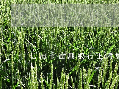 信用卡逾期银行上门要拍照 信用卡逾期银行上门要拍照