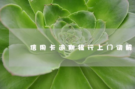 信用卡逾期银行上门调解