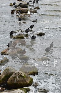 信用卡逾期银行上门都做什么