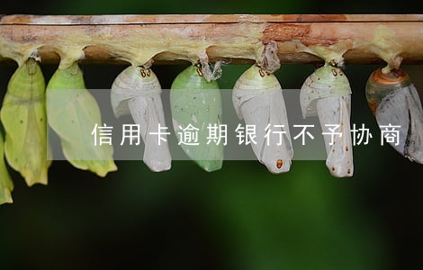 信用卡逾期银行不予协商 信用卡逾期银行不予协商
