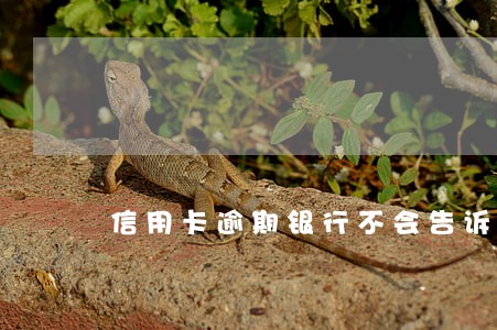 信用卡逾期银行不会告诉金额吗