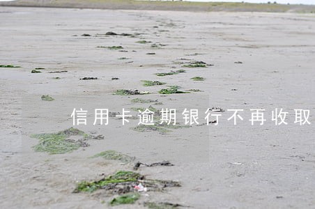 信用卡逾期银行不再收取利息 信用卡逾期银行不再收取利息