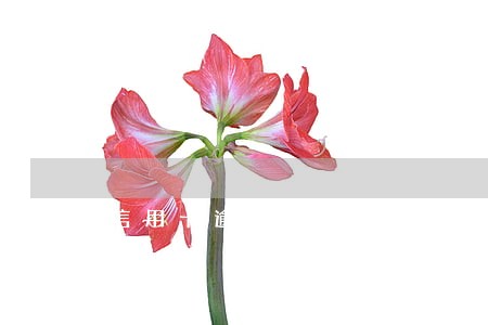 信用卡逾期银行不协商要起诉 信用卡逾期银行不协商要起诉
