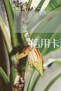 信用卡逾期银行不同意停