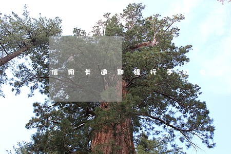信用卡逾期银行不打电话么 信用卡逾期银行不打电话么