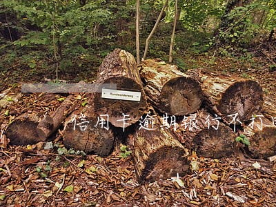 信用卡逾期银行不打电话了 信用卡逾期银行不打电话了