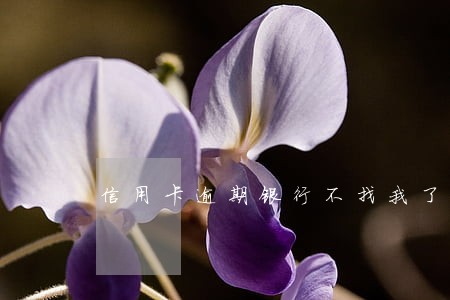 信用卡逾期银行不找我了