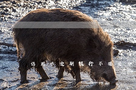 信用卡逾期银行不接受分期 信用卡逾期银行不接受分期