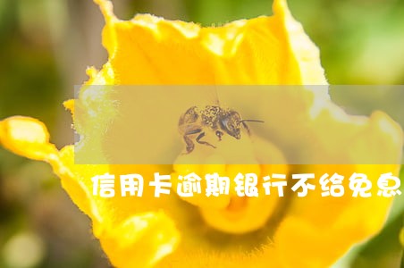 信用卡逾期银行不给免息 信用卡逾期银行不给免息