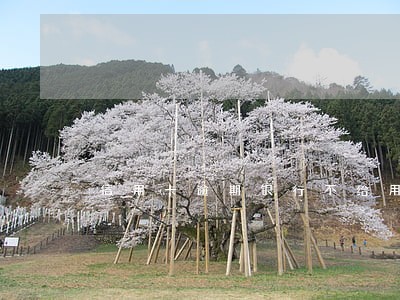 信用卡逾期银行不给用了