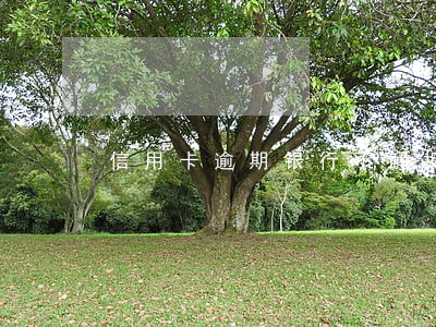 信用卡逾期银行不解押 信用卡逾期银行不解押