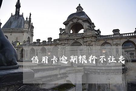 信用卡逾期银行不让走 信用卡逾期银行不让走