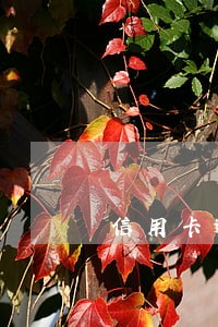 信用卡逾期银行不许分期 信用卡逾期银行不许分期