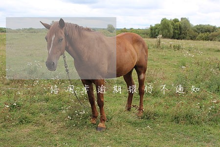 信用卡逾期银行不通知 信用卡逾期银行不通知