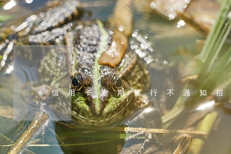 信用卡逾期银行不通知招商