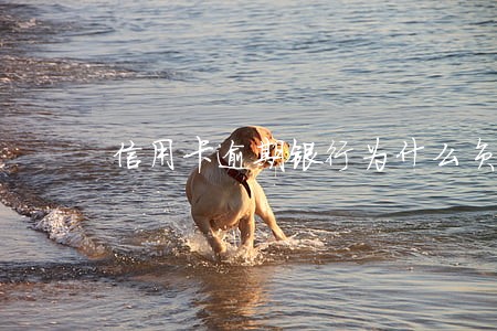 信用卡逾期银行为什么负债 信用卡逾期银行为什么负债