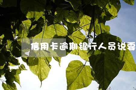 信用卡逾期银行人员说要立案 信用卡逾期银行人员说要立案
