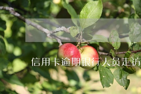 信用卡逾期银行人员走访 信用卡逾期银行人员走访