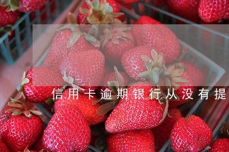 信用卡逾期银行从没有提醒 信用卡逾期银行从没有提醒