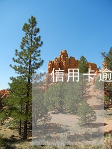 信用卡逾期银行以套现罪报案 信用卡逾期银行以套现罪报案