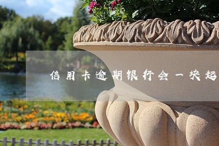 信用卡逾期银行会一块起诉吗 信用卡逾期银行会一块起诉吗
