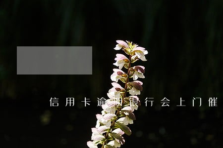 信用卡逾期银行会上门催债吗 信用卡逾期银行会上门催债吗