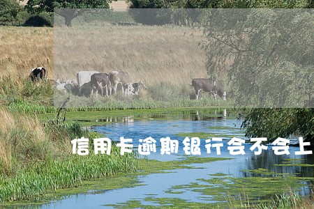 信用卡逾期银行会不会上门 信用卡逾期银行会不会上门