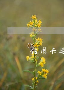 信用卡逾期银行会不会上门催收