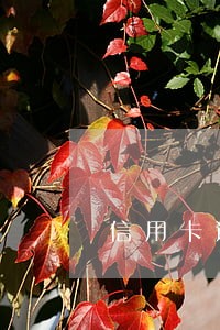 信用卡逾期银行会不会找上门 信用卡逾期银行会不会找上门