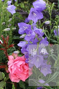 信用卡逾期银行会主动协商吗