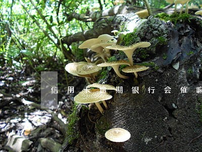 信用卡逾期银行会催嘛